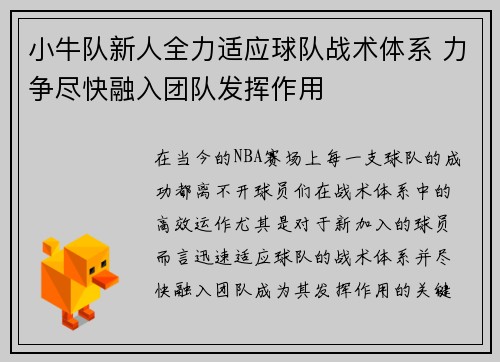 小牛队新人全力适应球队战术体系 力争尽快融入团队发挥作用