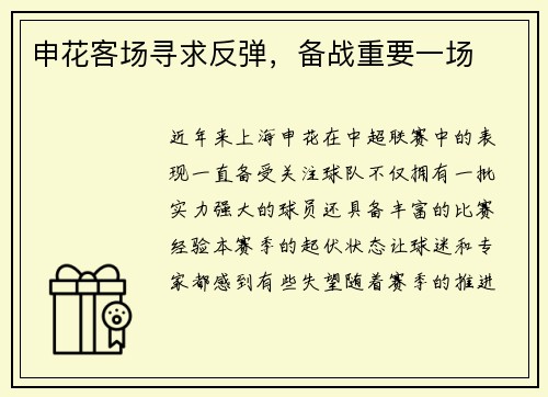申花客场寻求反弹，备战重要一场