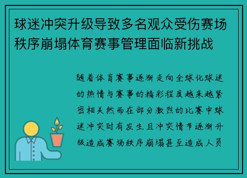 球迷冲突升级导致多名观众受伤赛场秩序崩塌体育赛事管理面临新挑战